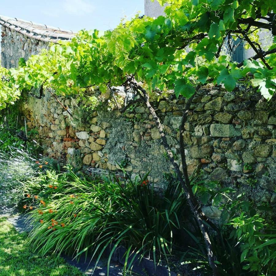 Gite Maison De L'Abbe Sorèze Zewnętrze zdjęcie