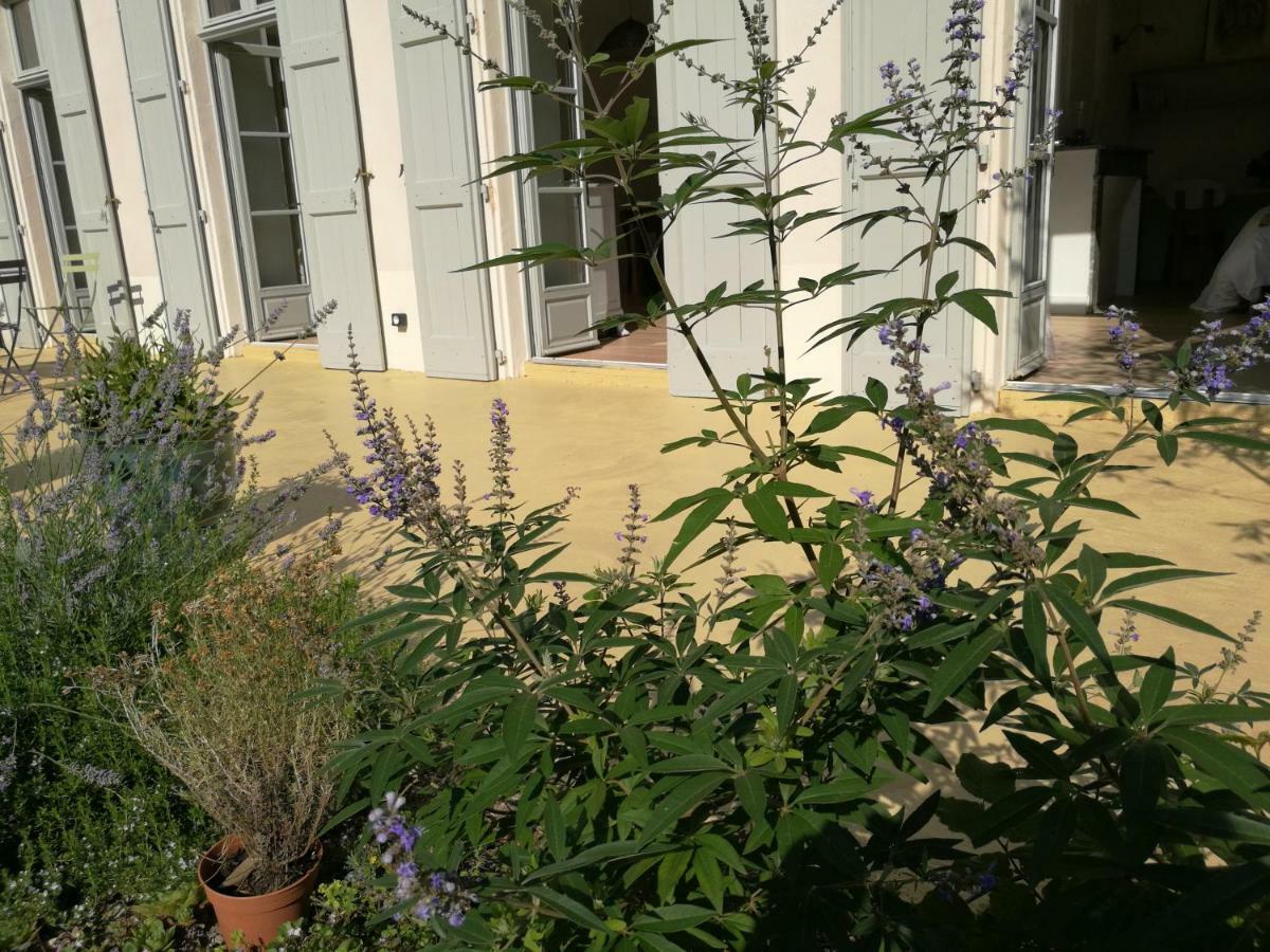 Gite Maison De L'Abbe Sorèze Zewnętrze zdjęcie
